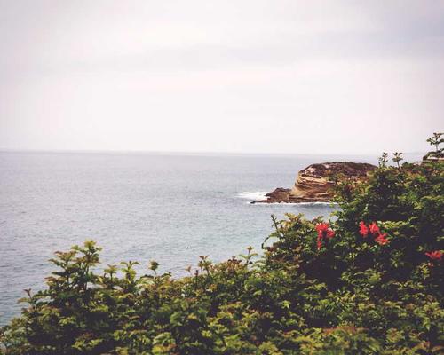 卒業後のフォローアップ